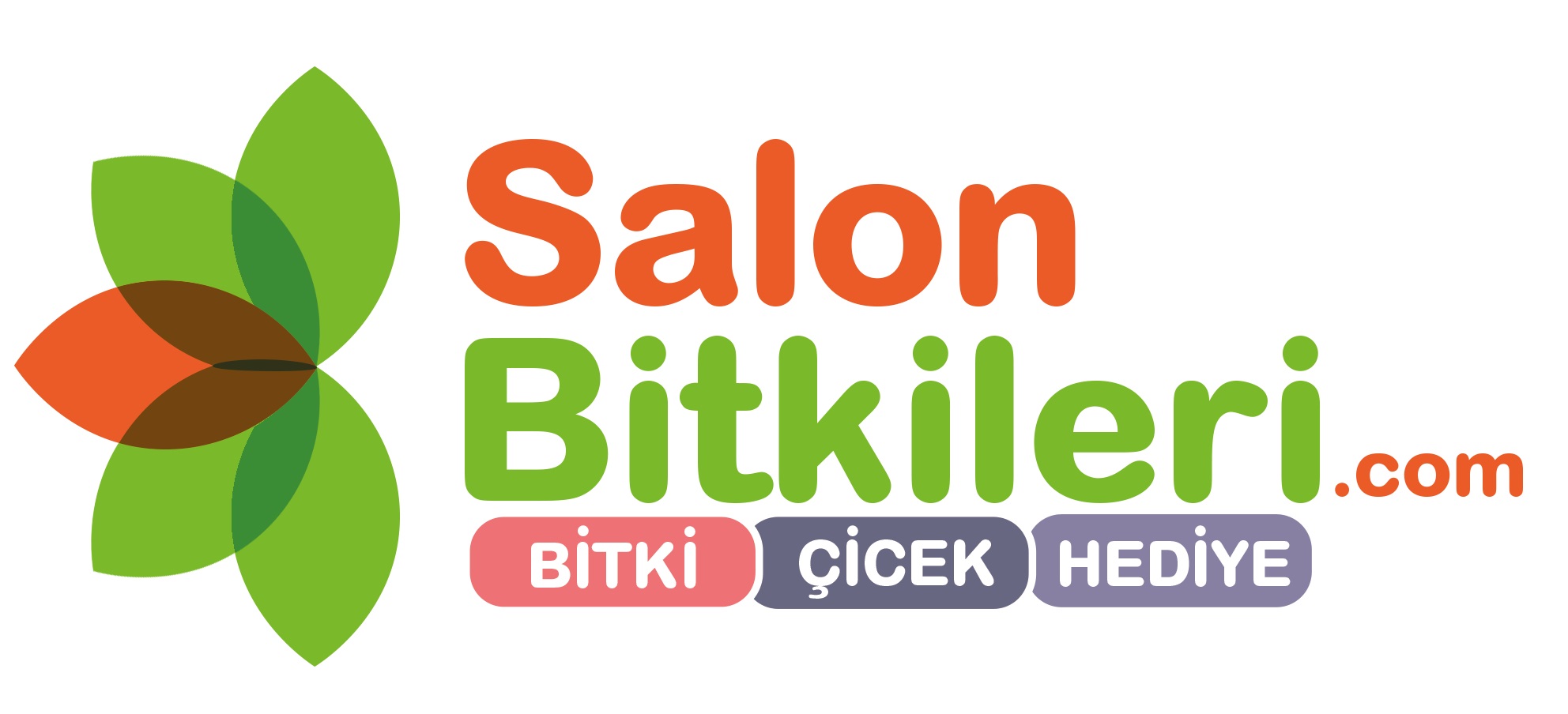 salonbitkileri.com
